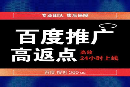 SEM运营公司成功案例解析