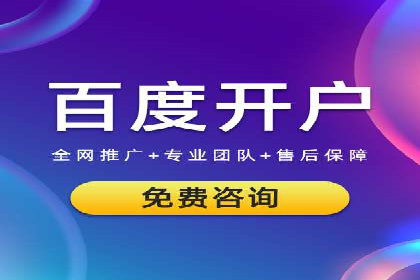 某某sem广告公司成功案例：如何通过SEM优化提高电商销售额